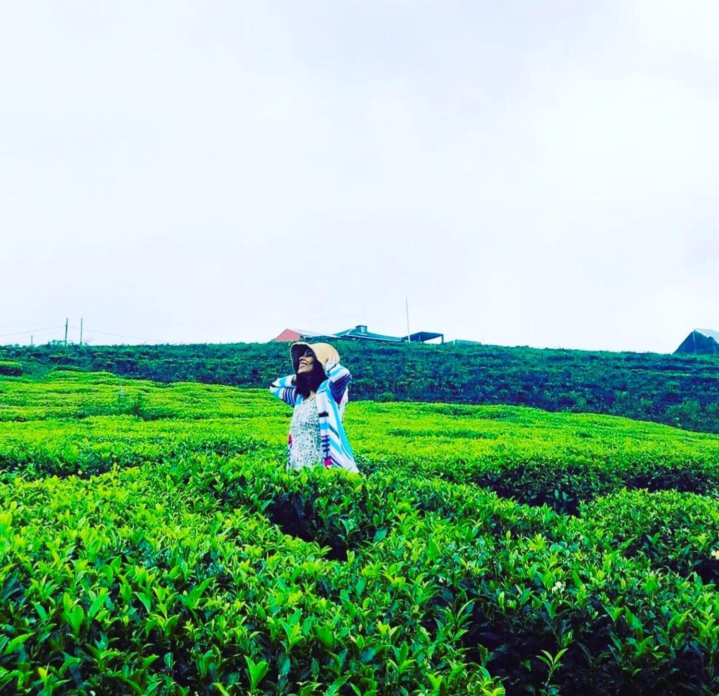The Tea Garden Βίλα Νουβάρα Ελίγια Εξωτερικό φωτογραφία