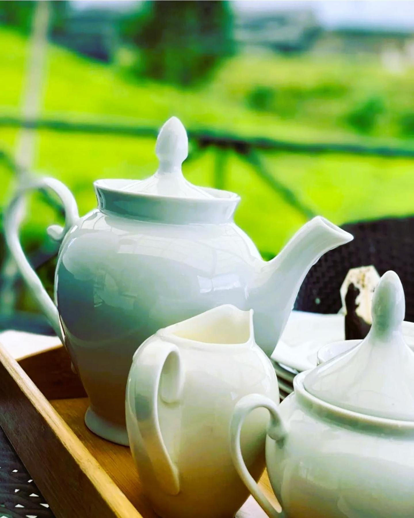 The Tea Garden Βίλα Νουβάρα Ελίγια Εξωτερικό φωτογραφία