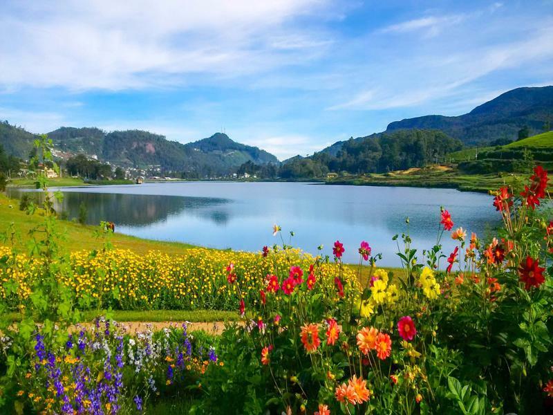 The Tea Garden Βίλα Νουβάρα Ελίγια Εξωτερικό φωτογραφία
